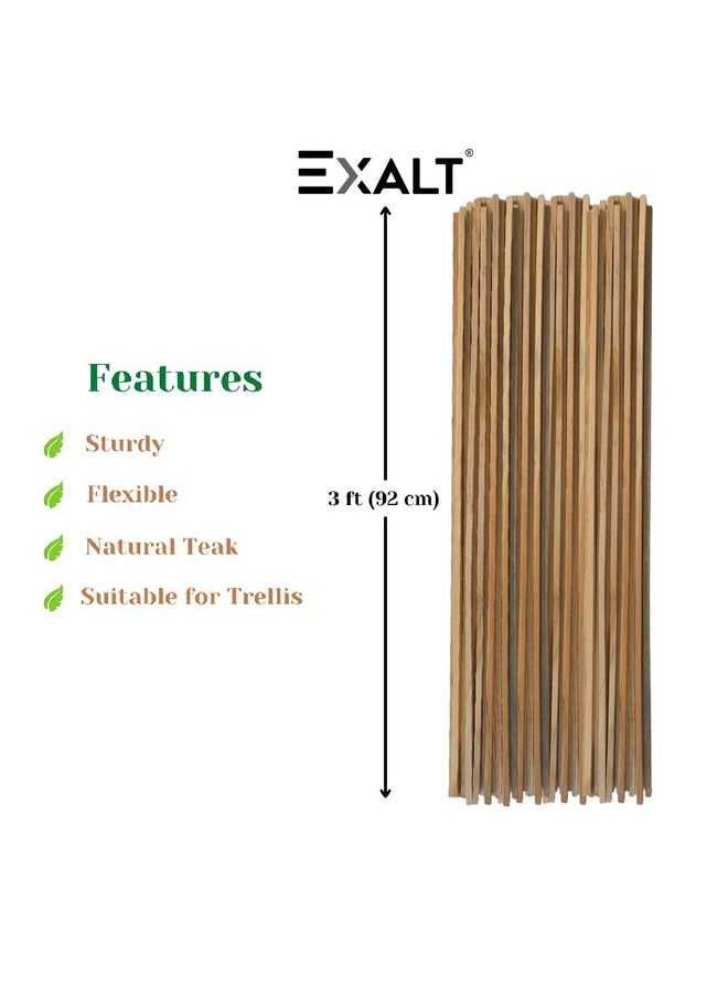 Exalt - EXALT® 3 feet Premium Natural Teak Wood Plant Support Sticks - Garden Sticks for Straightening Training and Supporting Plants - Strong and Durable Solution for Healthy Growth (12 pcs) - Image 1