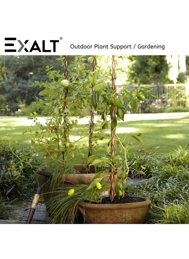 Exalt - EXALT® 3 feet Premium Natural Teak Wood Plant Support Sticks - Garden Sticks for Straightening Training and Supporting Plants - Strong and Durable Solution for Healthy Growth (12 pcs) - Image 1