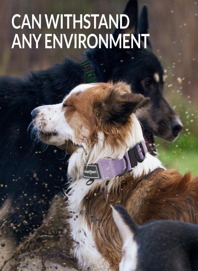 CollarDirect Heavy Duty Dog Collar for Large or Medium Dogs, Adjustable Strong Dog Collar for Active Dogs, Double-Layered Nylon (Lilac, 14-20) - Image 4