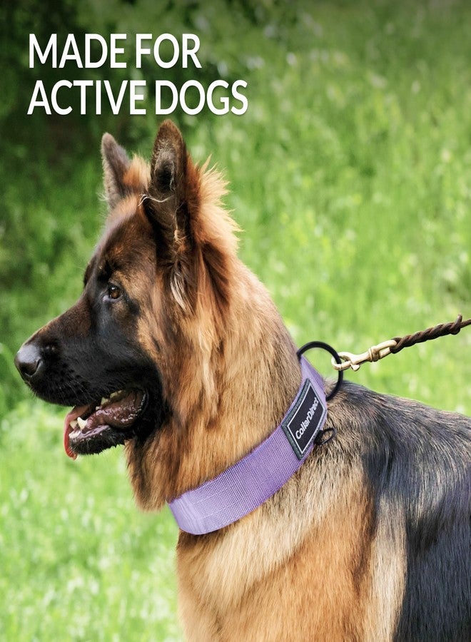 CollarDirect Heavy Duty Dog Collar for Large or Medium Dogs, Adjustable Strong Dog Collar for Active Dogs, Double-Layered Nylon (Lilac, 14-20) - Image 2