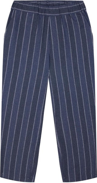 Navy Blue Striped Woven Trousers - pzsku/ZE2456DE18BDCC76A9380Z/45/_/1741653573/9a828686-9a86-4da9-9398-46c8066d430f