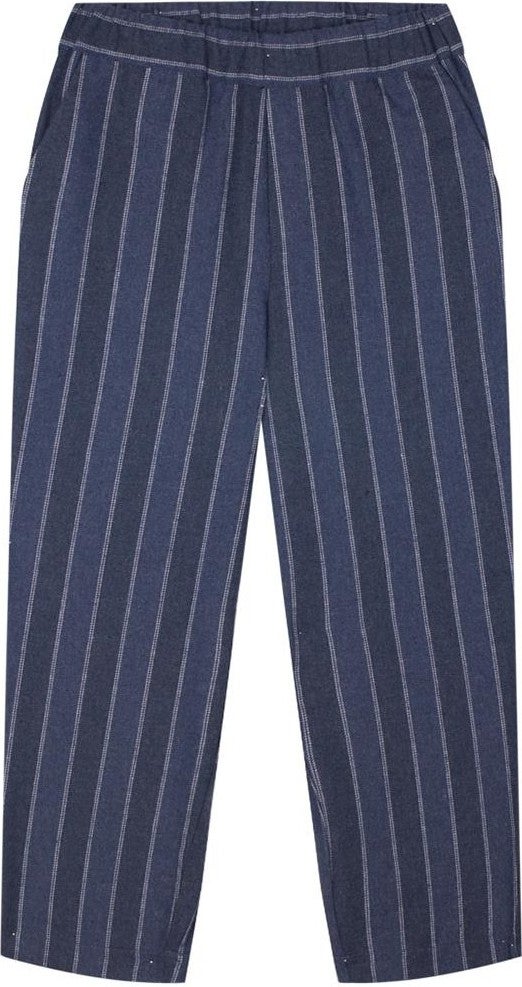 Antebies Navy Blue Striped Woven Trousers 