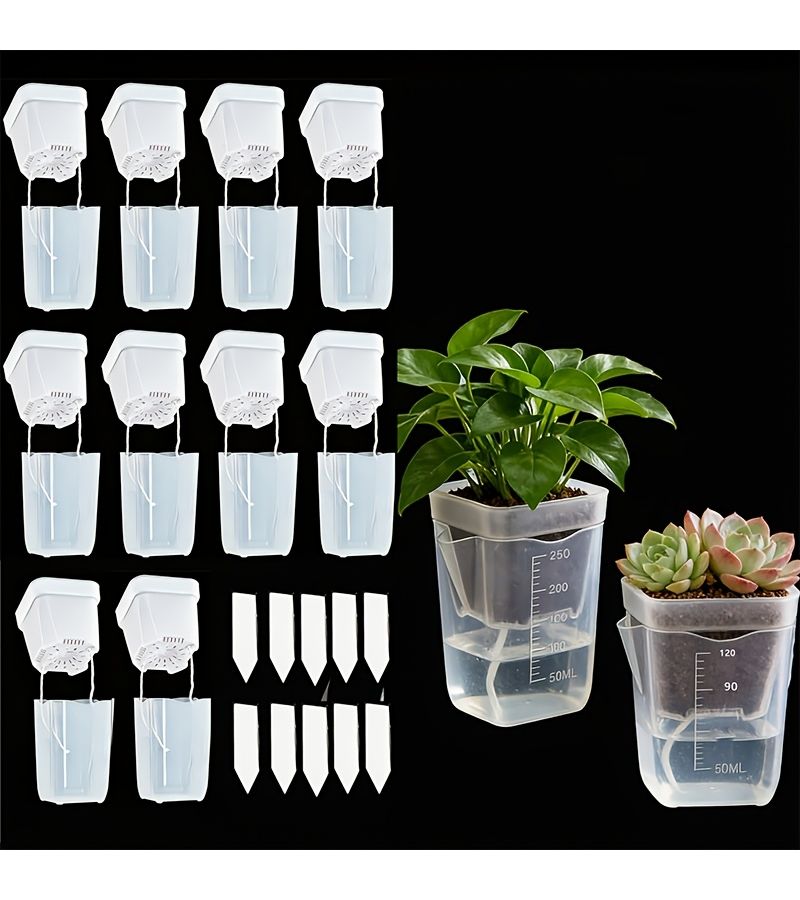 Mini Transparent Self Watering Planter Pots Irregular Shape Water Level Indicator Drainage Holes Pp Plastic For Succulents Air Plants African Violets Herbs Complete Kit 40 Pieces Large Size - Image 5