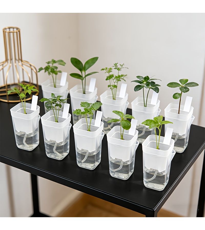 Mini Transparent Self Watering Planter Pots Irregular Shape Water Level Indicator Drainage Holes Pp Plastic For Succulents Air Plants African Violets Herbs Complete Kit 40 Pieces Large Size - Image 1