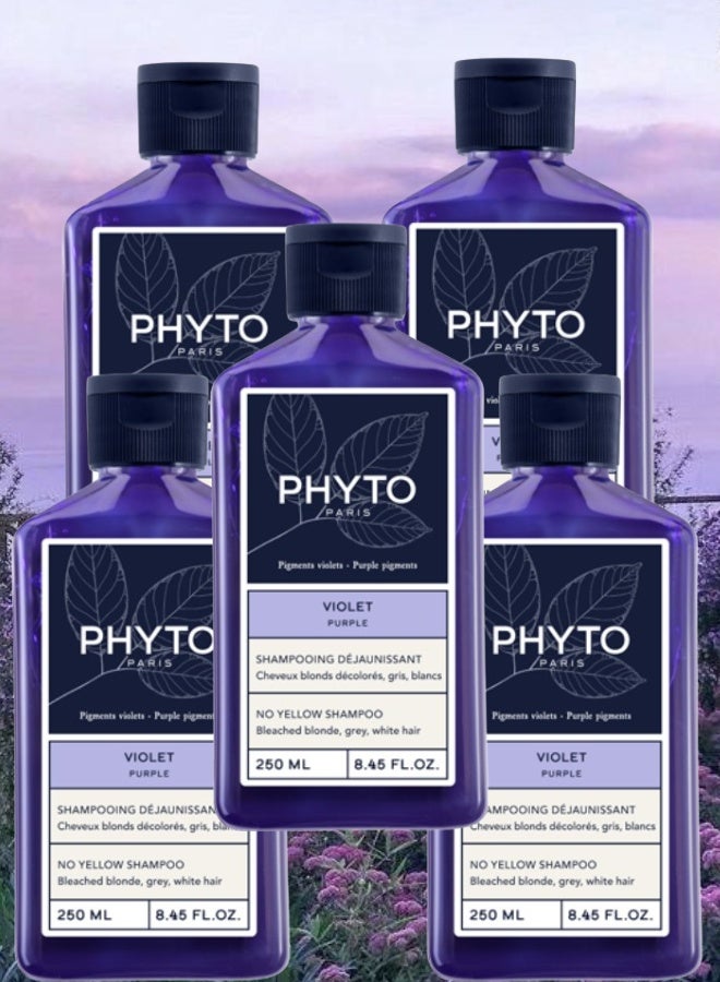 فيتو 5 قطع شامبو فيتو باريس البنفسجي بدون اصفرار 250مل - Image 1