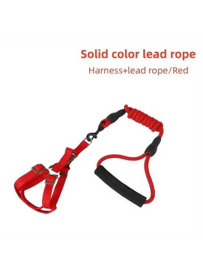 حزام ومقود مبطنان ناعمان قابلان للتعديل ومريحان ومقبض مريح مثالي للكلاب المتوسطة والكبيرة (قد يختلف اللون) - Image 4