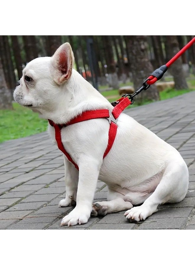 حزام ومقود مبطنان ناعمان قابلان للتعديل ومريحان ومقبض مريح مثالي للكلاب المتوسطة والكبيرة (قد يختلف اللون) - Image 1