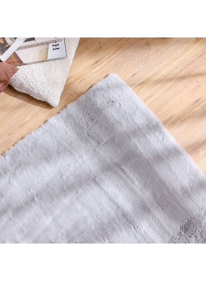 DANUBE HOME Plain Plush Solid Soft Fur Rug  | Washable Solids Style | Polyester Area Rug Floor Covering | Indoor Carpet For Living Room Dining Bedroom 160x230cm-Light Grey - Image 1
