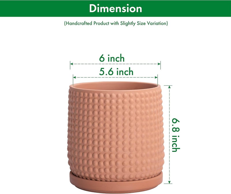 D'vine Dev Set of 2 Ceramic Plants Pots, 6 Inch Beaded Stoneware Flower Pot for Plants with Drainage Hole and Saucer, Terracotta, 27-E-X-7 - Image 2