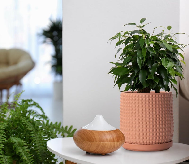 D'vine Dev Set of 2 Ceramic Plants Pots, 6 Inch Beaded Stoneware Flower Pot for Plants with Drainage Hole and Saucer, Terracotta, 27-E-X-7 - Image 3