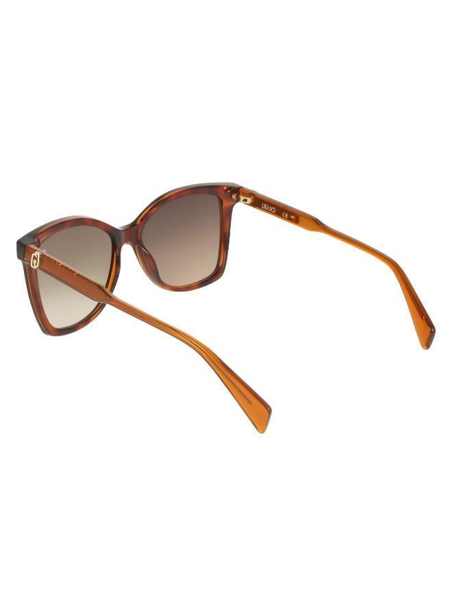 Liu Jo Butterfly Sunglasses - Image 5