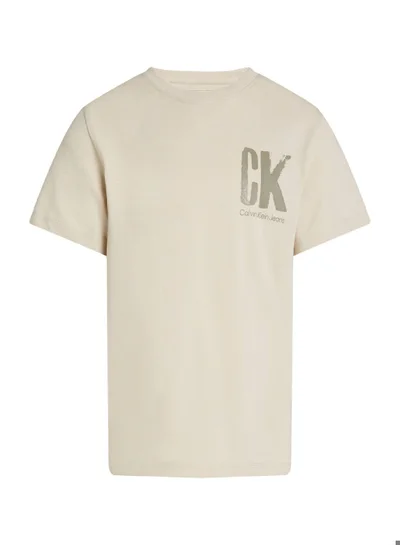 Calvin Klein Jeans Boys' Logo T-Shirt - Cotton, Grey