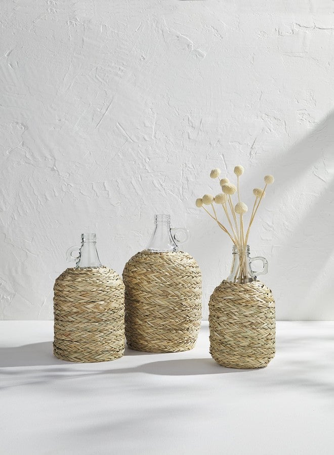 مد باي مزهريات زجاجية متوسطة الحجم من مود باي؛ 11 3/4 بوصة × 6 3/4 بوصة قطرًا - Image 3