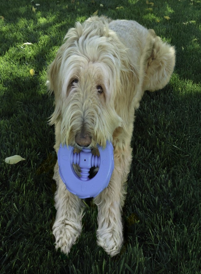 KONG Squeakz Dog Toy - Durable Rubber Fetch & Chew Toy with Squeakers, Interactive Enrichment Toy for Active Dogs (Wheel, Medium) - Image 4