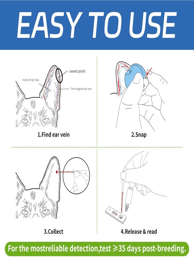 Dog Pregnancy Test Kit, Needle-Free Painless At Home Detection, 98% High Accuracy, Fast & Safe Canine Pregnancy Test for Dogs - Image 2