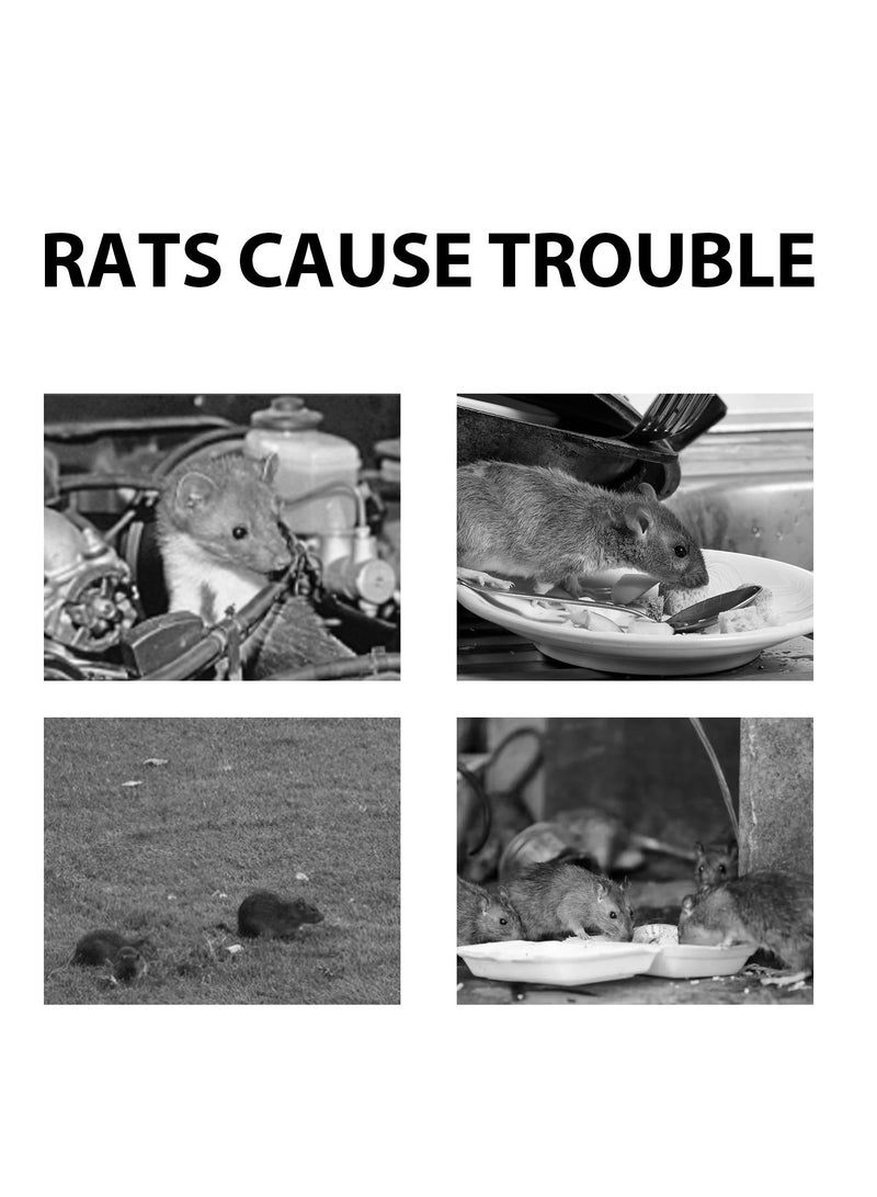 Generic Home, Outdoor, Car, Rat Repellent, Anti-rat, Rat Repellent, 120g*3  - Image 3