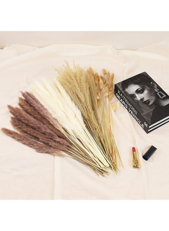 erorex 100 Pcs Dried Pampas Grass Decor Brown And White Pampas Grass Reed Grass Rabbit Tail Grass Home Decor Bouquet Dried Flowers For Wedding Floral Arrangements Wall Bathroom Decor  - Image 4