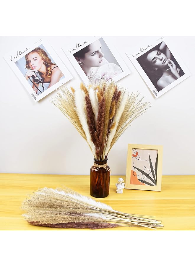 erorex 100 Pcs Dried Pampas Grass Decor Brown And White Pampas Grass Reed Grass Rabbit Tail Grass Home Decor Bouquet Dried Flowers For Wedding Floral Arrangements Wall Bathroom Decor  - Image 5