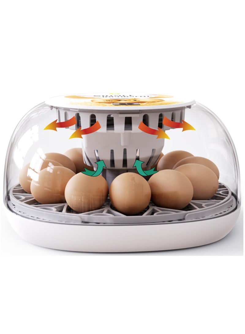 Premium Egg Incubator, Automatic Egg Hatching Incubator, 12 Eggs Poultry Hatcher with Automatic Temperature Control for Hatching, Chicken, Duck, Goose, Quail, Bird Eggs (Grey) - Image 1