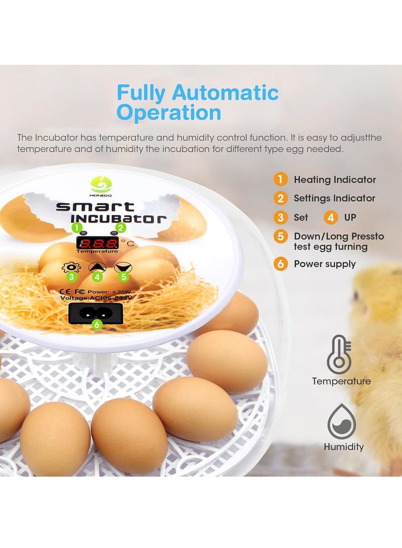 Premium Egg Incubator, Automatic Egg Hatching Incubator, 12 Eggs Poultry Hatcher with Automatic Temperature Control for Hatching, Chicken, Duck, Goose, Quail, Bird Eggs (Grey) - Image 4