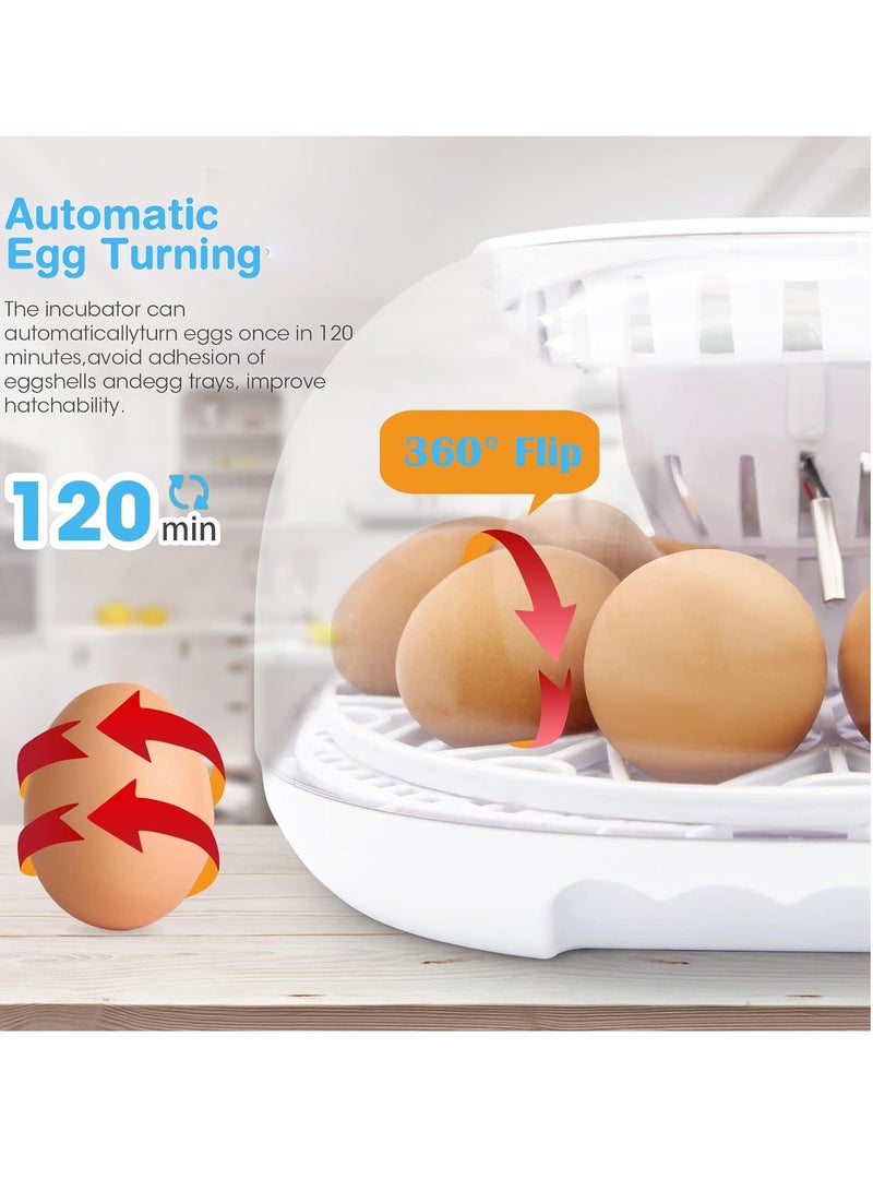 Premium Egg Incubator, Automatic Egg Hatching Incubator, 12 Eggs Poultry Hatcher with Automatic Temperature Control for Hatching, Chicken, Duck, Goose, Quail, Bird Eggs (Grey) - Image 3