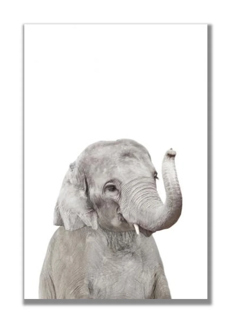 Drawdeck Baby Elephant