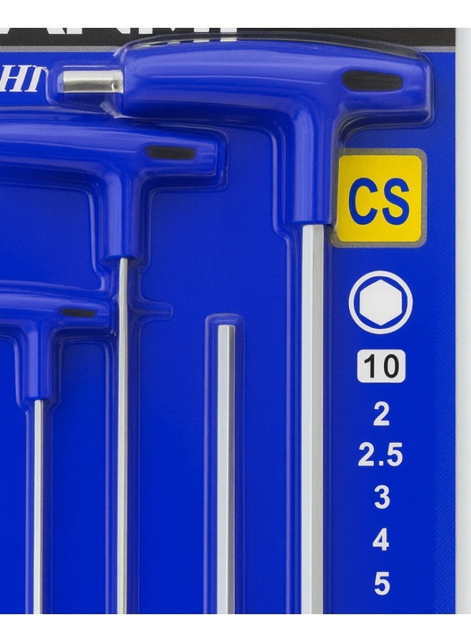 DANMI 8PCS T-Handle Hex Key Set – Professional 2–10 mm Sizes (ART: 170298) - Image 4