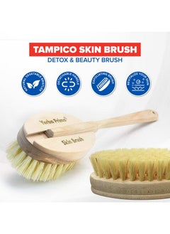 Tampico Skin Brush (Pack Of 1) - Natural Vegetable Fiber Bristles For Dry Skin Brushing - pzsku/ZE24F3695197D52A5F801Z/45/_/1730726630/9b6a9525-d87d-4f66-81de-c68de46a3826