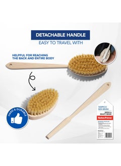 Tampico Skin Brush (Pack Of 1) - Natural Vegetable Fiber Bristles For Dry Skin Brushing - pzsku/ZE24F3695197D52A5F801Z/45/_/1730726631/e9cf94eb-06ae-4a15-a1a8-5c8516d3661a