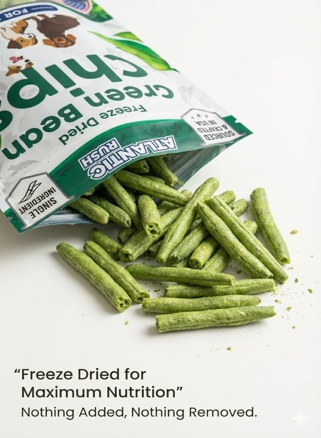 Atlantic Rush Freeze Dried Green Bean Chips for Dogs- 1oz Resealable Bag of Dried, Green Crispy Beans- Single Ingredient, No Salt or Canola Oil- Crispy, Shelf Stable - Made in USA (1 oz Bag) - Image 4