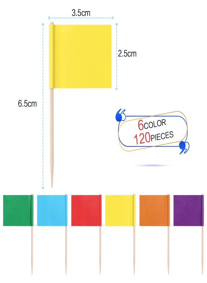 زوبيل 120 قطعة من أعواد الأسنان الملونة الفارغة، علامات للجبن، ملصقات طعام لحفلات البوفيه، أعواد أسنان للطعام، أعواد أسنان لتزيين الكب كيك، أطباق الجبن، المقبلات، 6 ألوان - Image 2