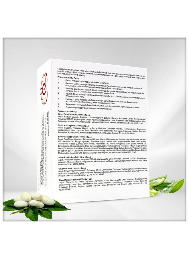 Vedic Line - Vedicline Silver Facial Kit, Reduce Dead Cells, Impurities & Blackhead With Goodness Of Silk Proteins ,Aloe Vera For Glowing Skin, 600Ml - Image 1