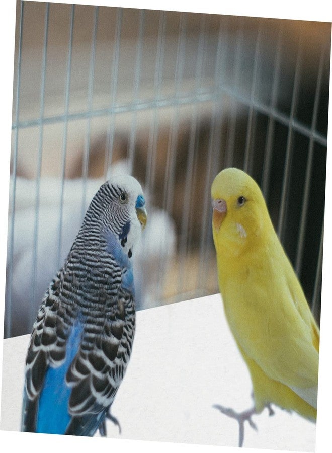 Yardwe 100pcs Non Woven Cloth Bird Cage Liners Convenient Mats for Parrot Cages Absorbent Poop Pads for Maintaining Cleanliness and - Image 4