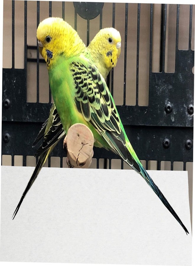 Yardwe 100pcs Non Woven Cloth Bird Cage Liners Convenient Mats for Parrot Cages Absorbent Poop Pads for Maintaining Cleanliness and - Image 5