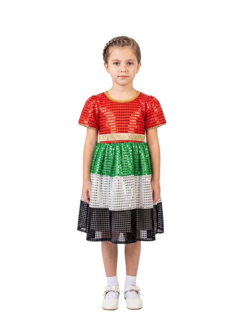 دىدانيالا UAE National Colors Sequin Dress
