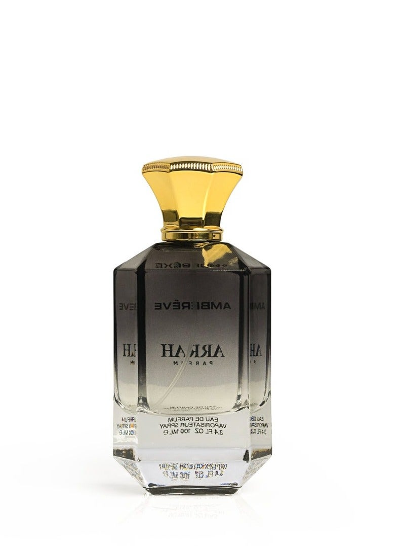 عطر أراه عطر أمبرييف للرجال، ماء عطر 100 مل - Image 3