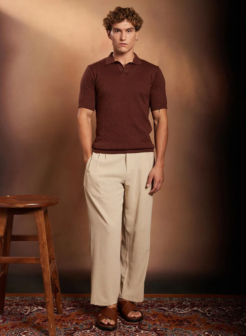 Campus Sutra Campus Sutra Men's Chocolate Brown Sonic-Tactile Polo T-Shirt For Casual Wear | Polo Neck | Short Cuffed Sleeves | Half-Button Closure | T-Shirt Crafted With Comfort Fit For Everyday Wear