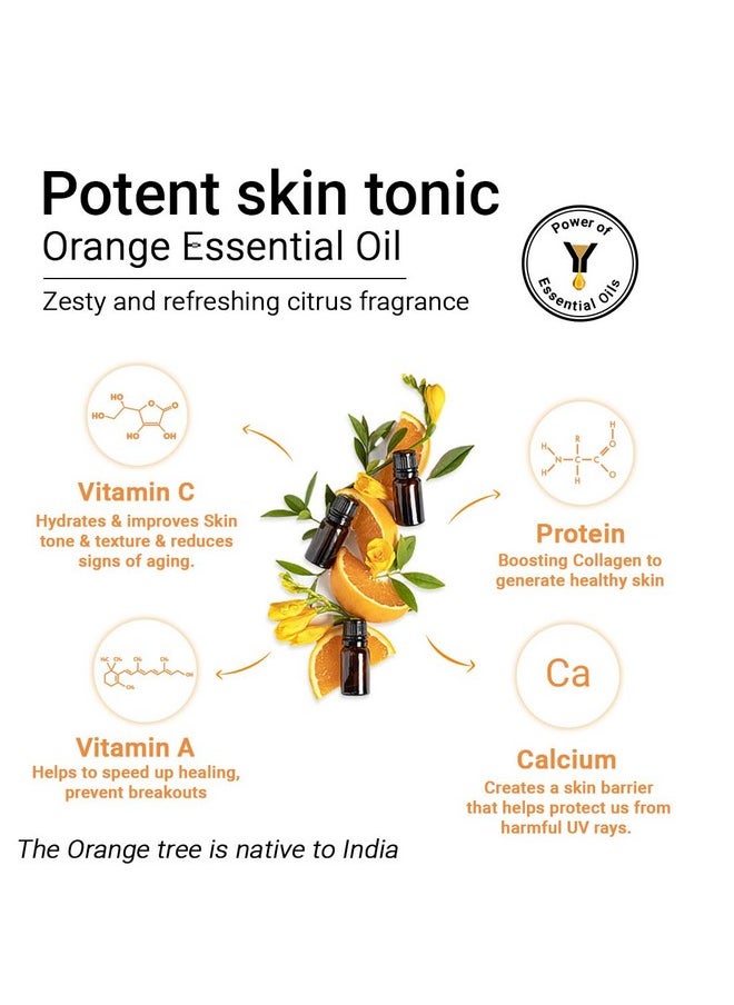 Keya Seth Aromatherapy Keya Seth Aromatherapy Skin Defence Orange Cream Light Moisturizing Quick Absorbing Skin Repairs & Rejuvenation Enriched With Pure Orange Essential Oil And Vitamin C  - Image 3