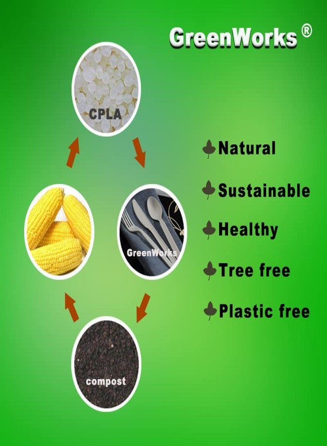 GreenWorks 1000 Count 6" Compostable Spoons,BPI Certified,Bulk Cutlery Utensils Spoon - Image 5