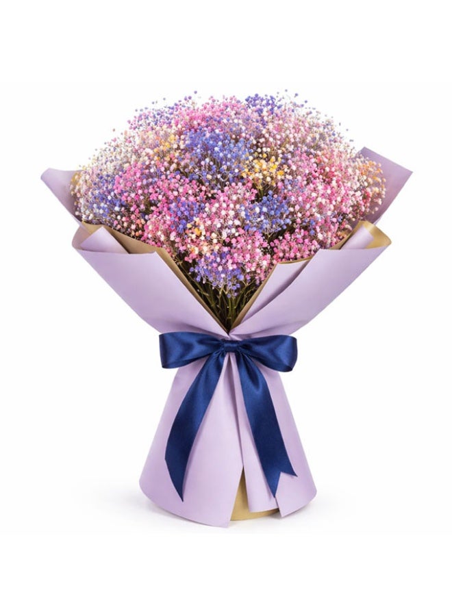 Gypsophila , Multi Colour -15 Stems, Kenya