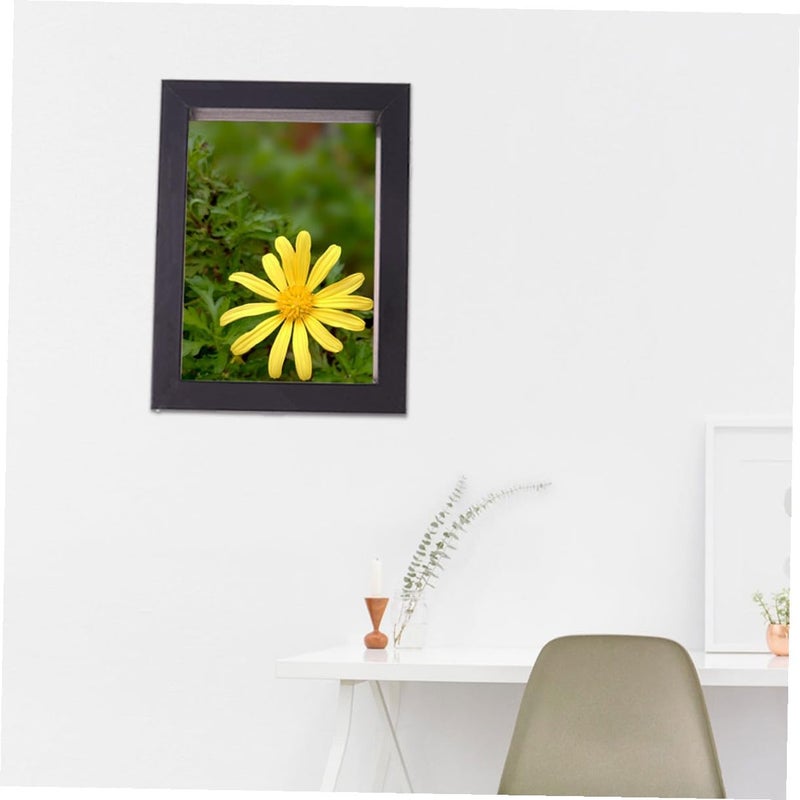 GALPADA Pressed Flower Specimen Frame 6 Inch Double-sided Glass Photo Display Frame Set of 2 Black for Creative Home Decor and Tabletop Artwork - Image 5