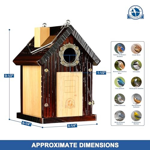 SISTERBIRD Pack of 2 Premium Bluebird Houses for Outside, All Seaons Bird Houses for Outside, Wooden Cabin Birdhouses for Outdoors, Weatherproof Courtyard Decorated Hanging Bird House - Image 3
