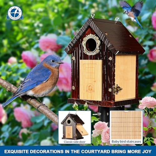 SISTERBIRD Pack of 2 Premium Bluebird Houses for Outside, All Seaons Bird Houses for Outside, Wooden Cabin Birdhouses for Outdoors, Weatherproof Courtyard Decorated Hanging Bird House - Image 4