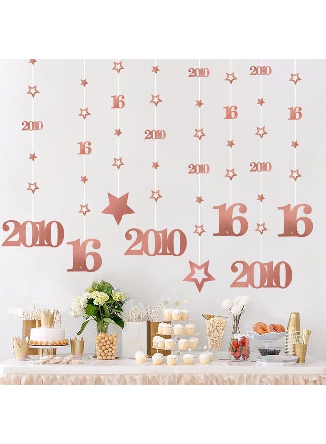 Eucutur Pink Rose Gold Sweet 16 Party Decorations for Girls, Pre-Stung Glitter Twinkle Number 2009 16 Years Old Hanging Streamer Banner Party Supplies, Pink Happy 16th Bday Sweet Sixteen Gifts Decor - Image 1