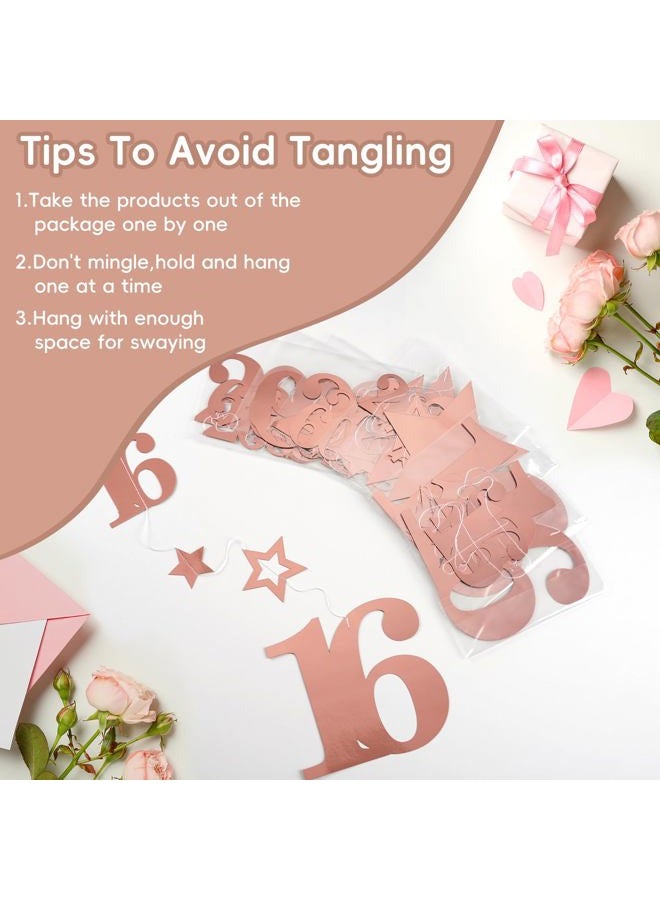 Eucutur Pink Rose Gold Sweet 16 Party Decorations for Girls, Pre-Stung Glitter Twinkle Number 2009 16 Years Old Hanging Streamer Banner Party Supplies, Pink Happy 16th Bday Sweet Sixteen Gifts Decor - Image 3