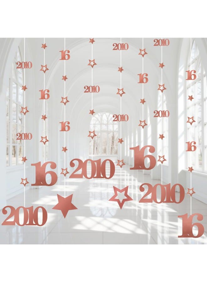 Eucutur Pink Rose Gold Sweet 16 Party Decorations for Girls, Pre-Stung Glitter Twinkle Number 2009 16 Years Old Hanging Streamer Banner Party Supplies, Pink Happy 16th Bday Sweet Sixteen Gifts Decor - Image 4