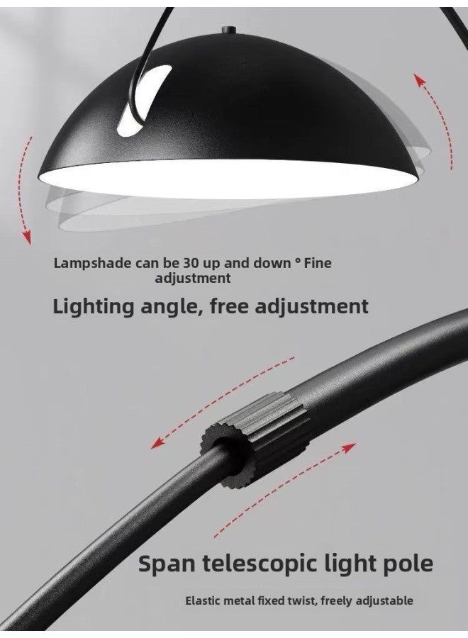 إسكدنيا Fishing Lamp Floor Lamp Living Room Sofa Lamp Modern Simple Nordic Creative Bedroom Bedside-Color:Upgraded Small Size  20w Three-color Dimming Full Spectrum + - Image 3