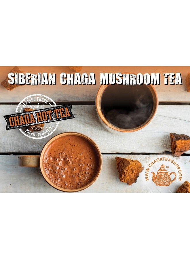 ChagaTeaShop Siberian Chaga Mushroom Individual Filter Tea Bags Original 50 Filter Bags Net Wt 3.5 Oz (100g) - Image 4