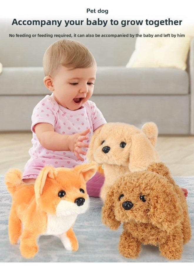 Source Manufacturers Explosions Teddy Electric Talking Plush Toys For Children's Dogs Jumping Rabbit-Color:Orange  - Image 4