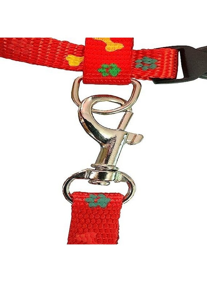 طقم حزام من النايلون للقطط الصغيرة والحيوانات الأليفة الصغيرة | طوق حزام من النايلون | حزام تدريب القطط (مطبوع عليه مخلب أحمر) - Image 4